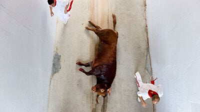 What Happens During the Running of the Bulls in Pamplona