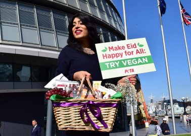 Asifa Lahore Delivers Vegan Foods and Message of Compassion for Eid al-Adha
