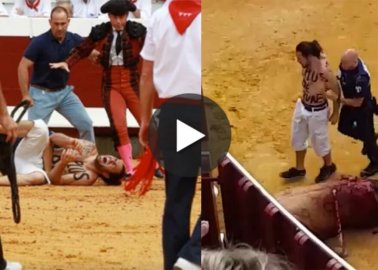 WATCH: Activists Disrupt Bullfight, One Is Tackled and Kicked in Ring