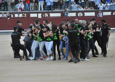 ‘Stop Killing, Please’: Activists Jump Into Bullring in Madrid