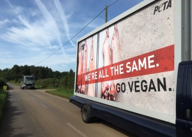 Vegan Billboard to Circle Surrey’s The Big Meat Festival With an Important Message