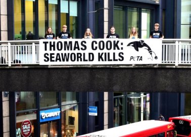 Activists Hang Giant ‘SeaWorld Kills’ Banner Above Thomas Cook HQ