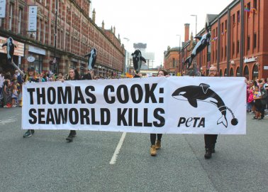 Activists Show Thomas Cook There’s No Pride in Promoting SeaWorld
