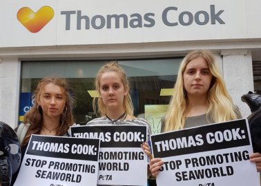 Day of Action! Local Activists Demonstrate Outside Thomas Cook Stores Across the UK
