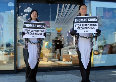 Chained-Up ‘Orcas’ Tell Thomas Cook to ‘Stop Supporting Orca Prisons’