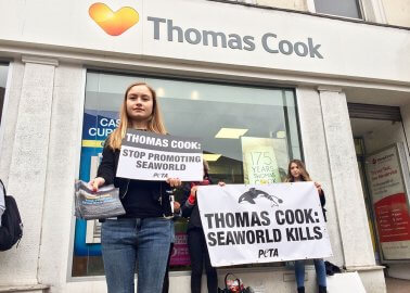 With Second Day of Action, Pressure Mounts on Thomas Cook to Drop SeaWorld