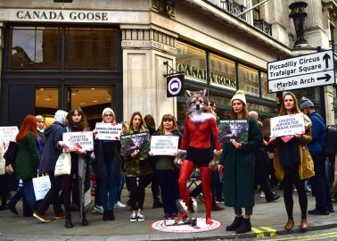 THIS Is Where Your Fur Comes From! Activists Protest Outside Canada Goose Store