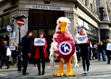 PETA ‘Goose’ Protests Opening of Flagship Canada Goose Store on London’s Regent Street