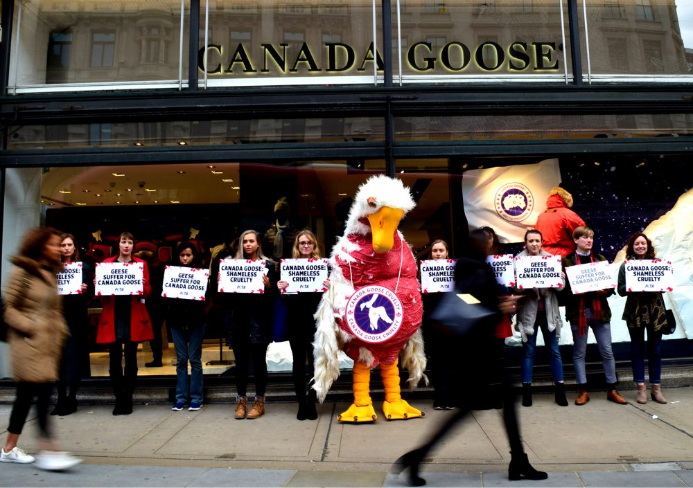 PETA 'Goose' Protests Opening of Flagship Canada Goose Store on London