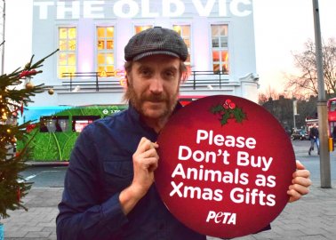 Rhys Ifans Urges People Not to Buy Animals as Gifts This Christmas
