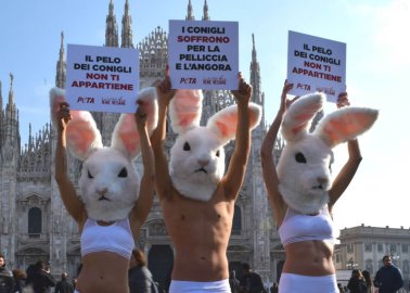 ‘Bunnies’ Crash Milan Fashion Week to Protest Fur and Angora