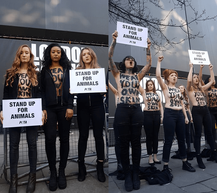 Naked Women Protests Telegraph 