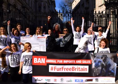 Queen Guitarist Brian May Delivers Huge Fur-Free Petition to Downing Street