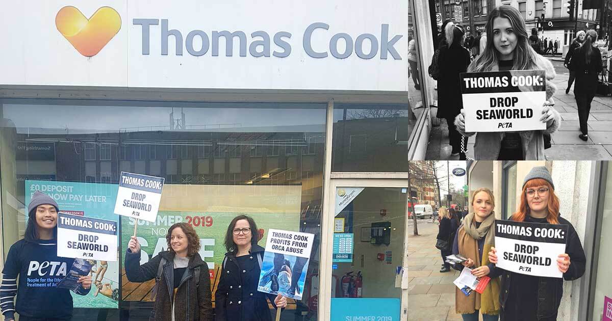 Day of Action! Activists Show Thomas Cook It Must Cut All Ties With ...
