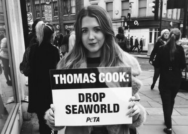 Day of Action! Activists Show Thomas Cook It Must Cut All Ties With SeaWorld