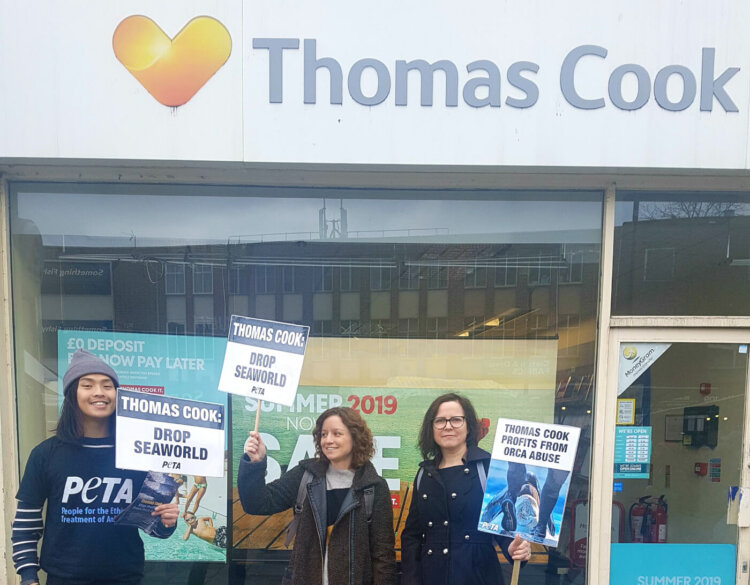 Thomas Cook Protest Day of Action! Activists Show Thomas Cook It Must Cut All Ties With ...