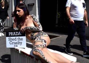 Body-Painted ‘Snake’ Protests Prada’s Exotic Skins Sales in Milan