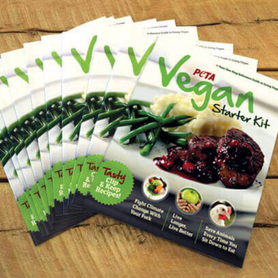 Sponsor a Vegan Starter Kit Stand to Help Others Go Plant-Based