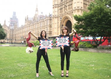 UK Fur Trade Recommended for Public Consultation After PETA’s #FurFreeBritain Campaign