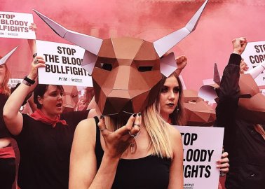 Pamplona 2018: Activists Stage Powerful Protest Ahead of Running of the Bulls