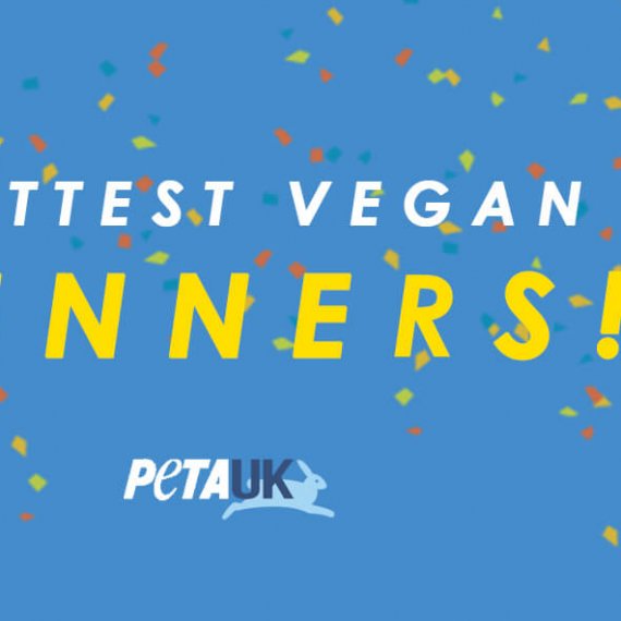 UK and Ireland’s Hottest Vegan – Winners