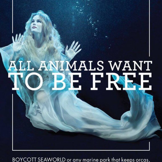 Amanda Holden Goes Underwater to Protest SeaWorld