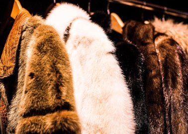 PETA US Is Taking Calls for a Fur Ban to the Farfetch Boardroom