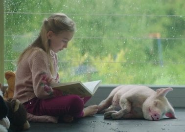 Little Girl and Baby Pig Are Best of Friends in New Video