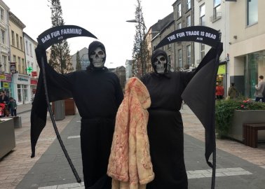 ‘Grim Reapers’ Stage Powerful Protests to Call for Irish Fur Farm Ban