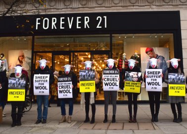 PETA Supporters Urge Forever 21 to Stop Selling Wool