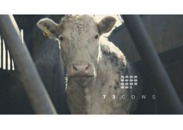 BREAKING: Pro-Vegan Film ’73 Cows’ Wins BAFTA