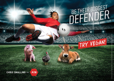 Chris Smalling Jumps to Animals’ Defence in New PETA Vegan Ad