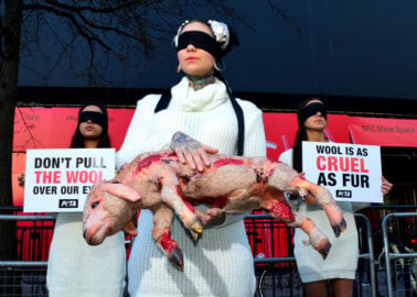 PETA Supporters Cradle ‘Bloody Shorn Lamb’ at London Fashion Week