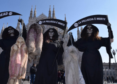 PETA Supporters Appear as Grim Reapers to Protest Fur Trade at Milan Fashion Week