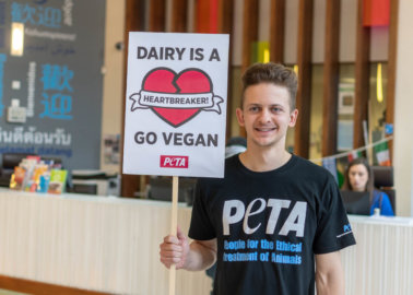 These Students Are Bringing Vegan Activism to Campus