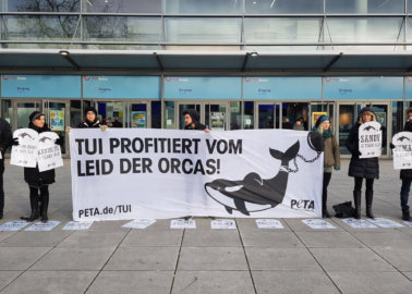 PETA Supporters Install Haunting Orca ‘Graveyard’ Outside TUI Group’s Annual Meeting