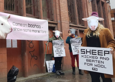 PETA Supporters Arrive at boohoo HQ With a Message: ‘Ban Cruel Wool’