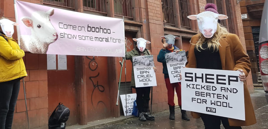 PETA Supporters Arrive at boohoo HQ With a Message: 'Ban Cruel Wool'