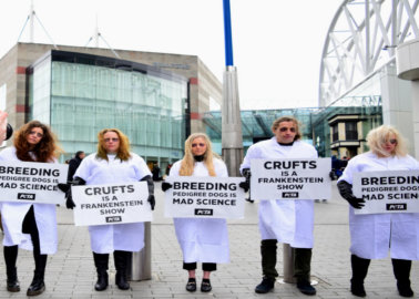 Mad Science: PETA Protests Crufts Dog Show