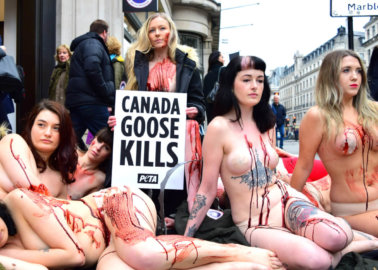 PETA Supporters Stage Dramatic Die-In Outside Canada Goose