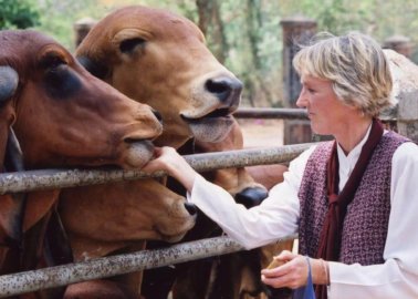 Wisdom From the Women of PETA: Animal Activism, Challenges, and Memorable Moments