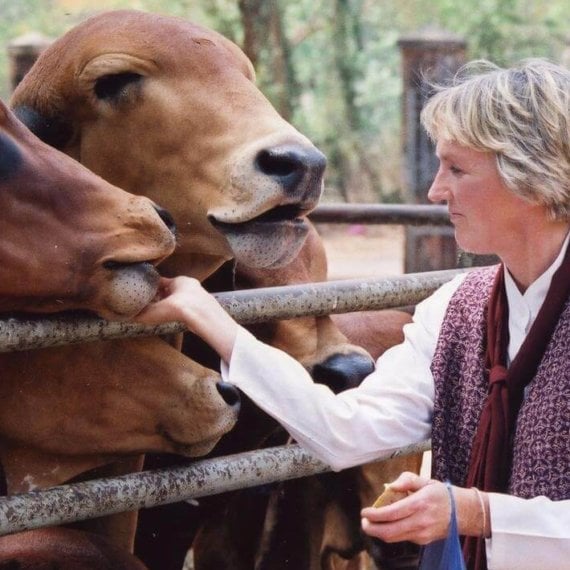 Wisdom From the Women of PETA: Animal Activism, Challenges, and Memorable Moments