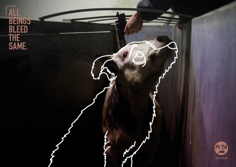All Beings Bleed the Same': New PETA Ads Challenge Speciesism All Beings Bleed the Same': New PETA Ads Challenge Speciesism