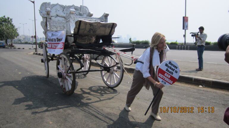 Ingrid strapped to a horse-drawn carriage and pulled it through the streets