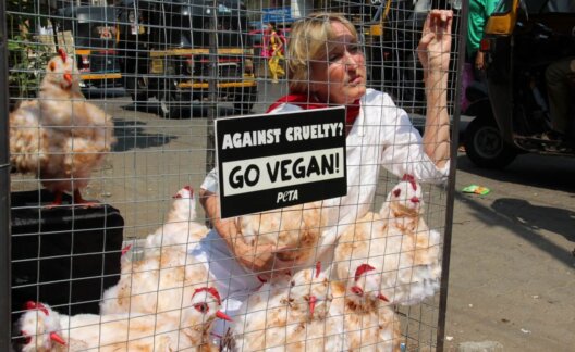Ingrid in a cage saying go vegan