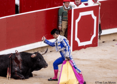 WATCH: Activists Leap Into Bullring to Protest Barbaric Bullfight