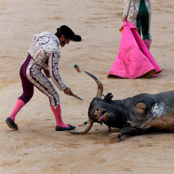 No More Deaths: Call For an End to Bullfights and Bull Runs in Pamplona