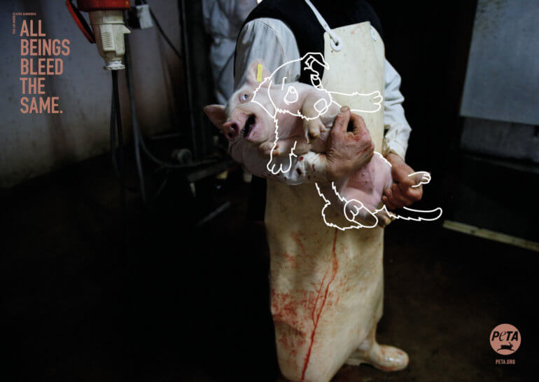 All beings bleed the same pig