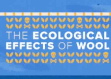 The Ecological Effects of Wool