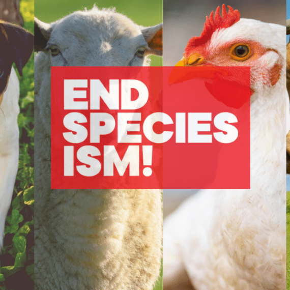 #EndSpeciesism